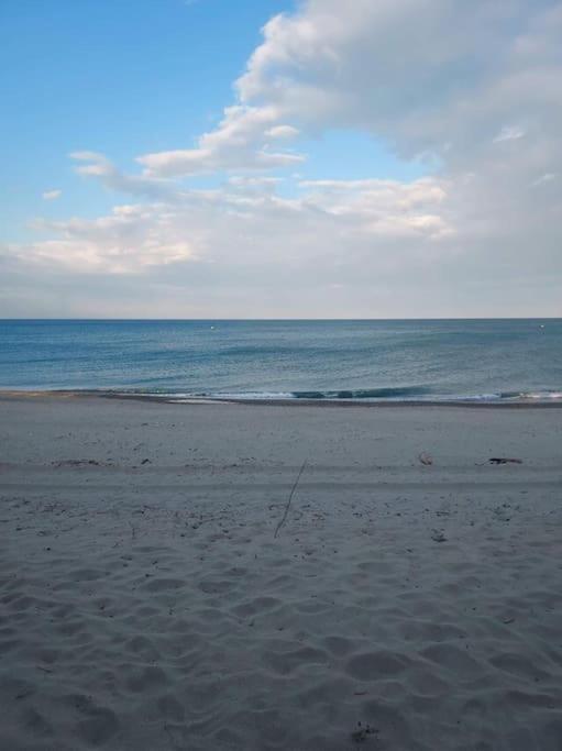 una playa de arena con el océano en el fondo en Logement plage, en Saint-Cyprien