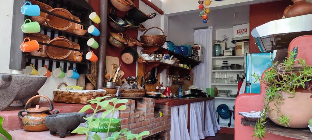 Fotografie z fotogalerie ubytování Posada Bugambilias v destinaci Catemaco