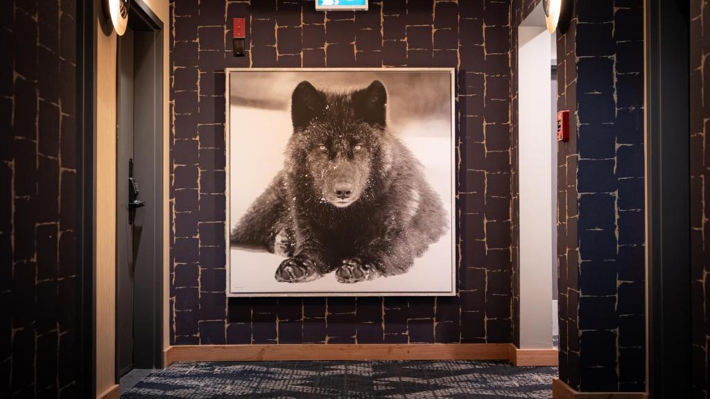 Fotografie z fotogalerie ubytování MTN House By Basecamp v destinaci Canmore