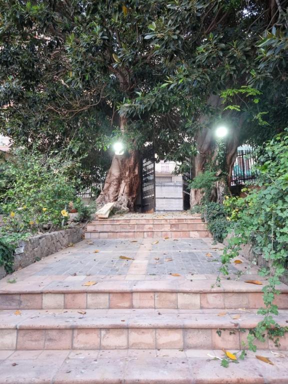 Zahrada ubytování Villa Sul Molo tra Siracusa e Catania