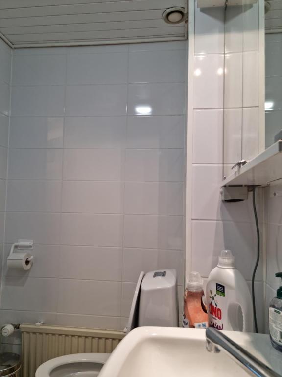 ein Badezimmer mit einem Spiegel, einem Waschbecken und einem WC in der Unterkunft Kompakti yksiö pienkerrostalossa in Pori