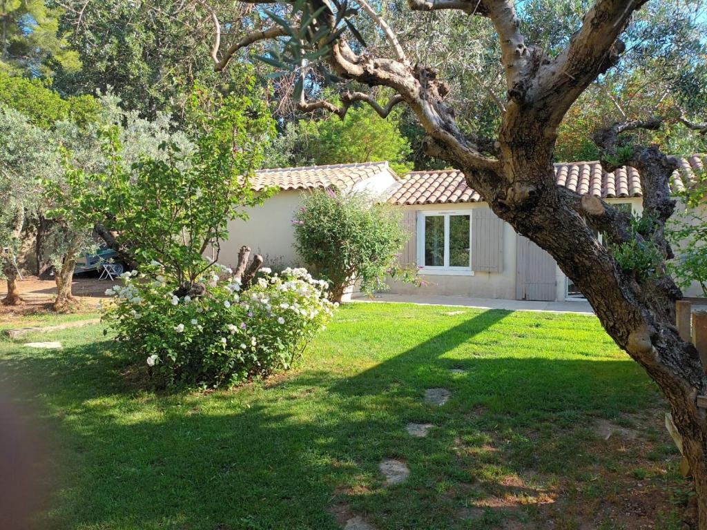 une maison avec une cour arborée dans l'établissement Le Cabanon, à Maussane-les-Alpilles