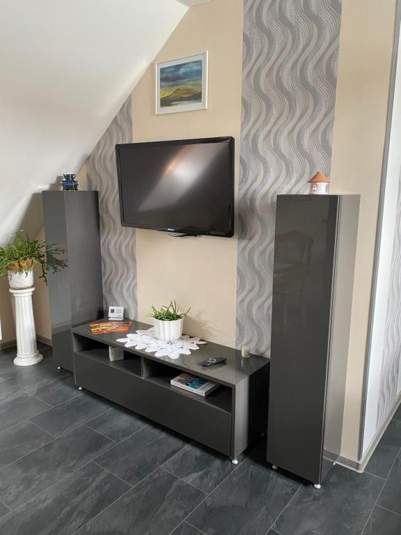 Televízia a/alebo spoločenská miestnosť v ubytovaní Fodan Apartman