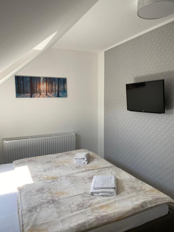 Televízia a/alebo spoločenská miestnosť v ubytovaní Fodan Apartman