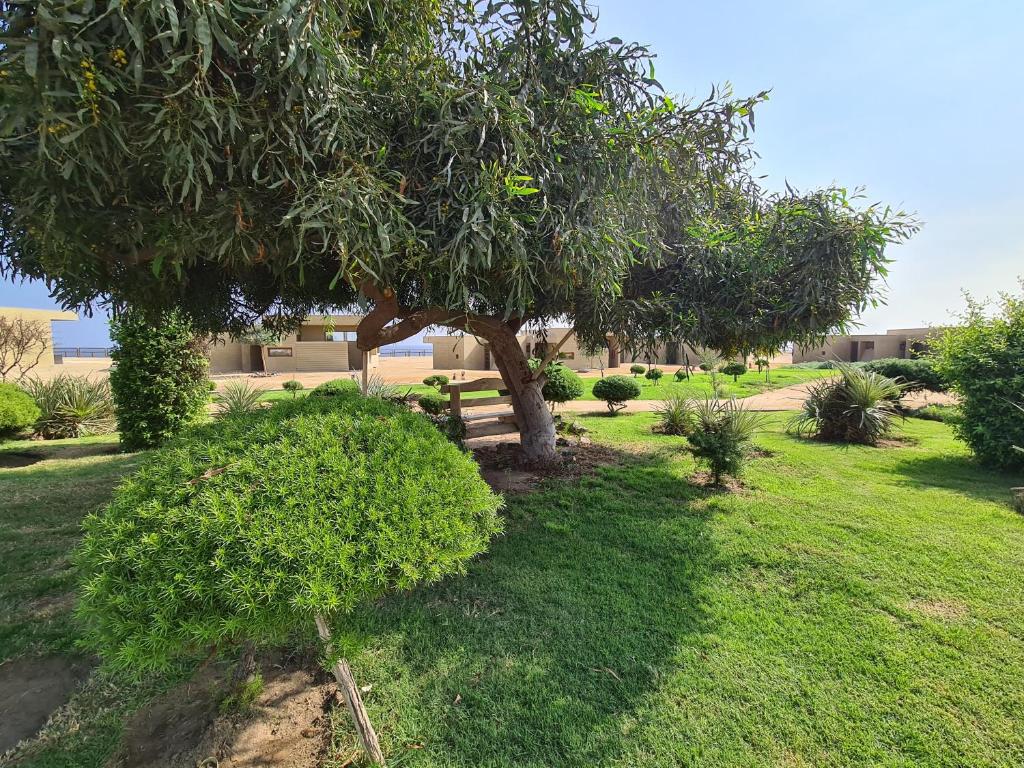 Hotel y Cabañas Hornitos - Caja Los Andes, Hornitos (precios ...