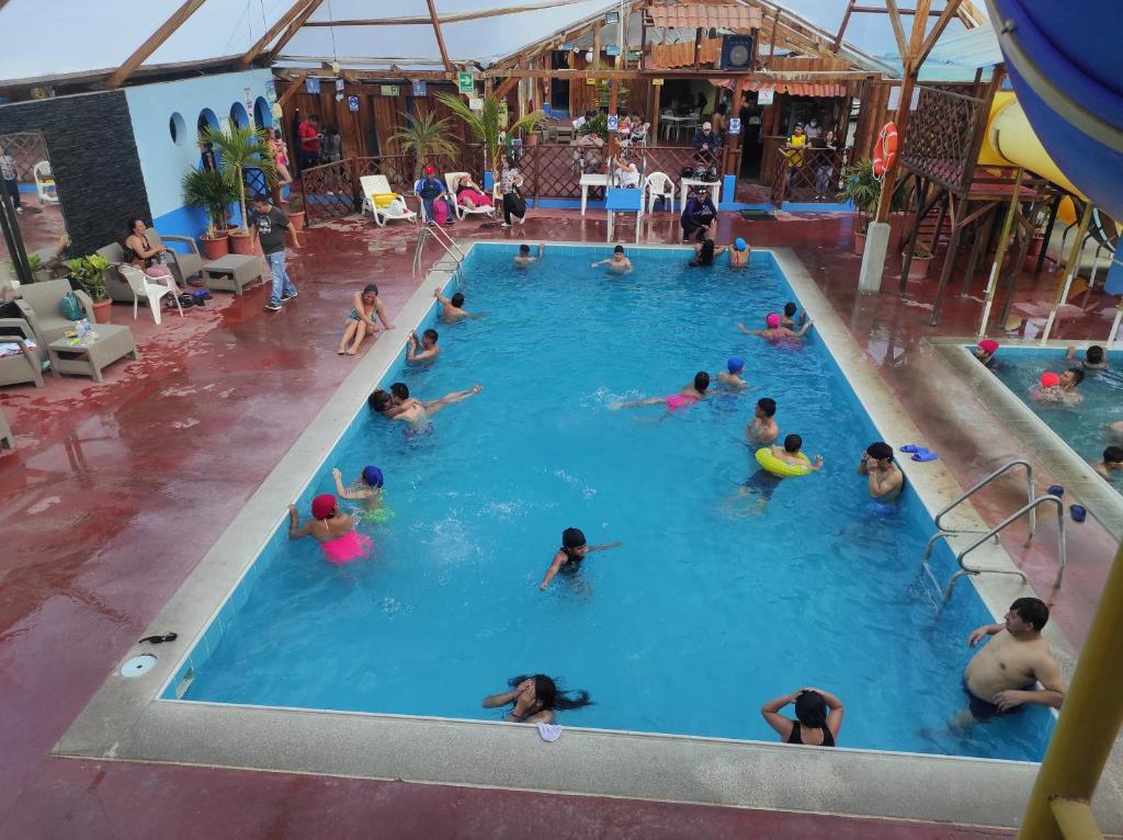 Bazén v ubytování HOTEL CARIBEAN REAL nebo v jeho okolí
