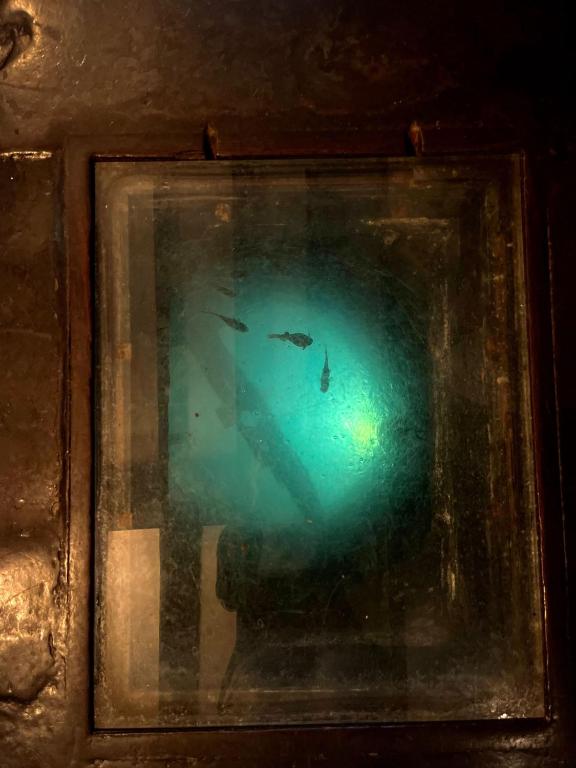 The Blue Boar - Historic Country Inn near Stratford-upon-Avon - Resim 43