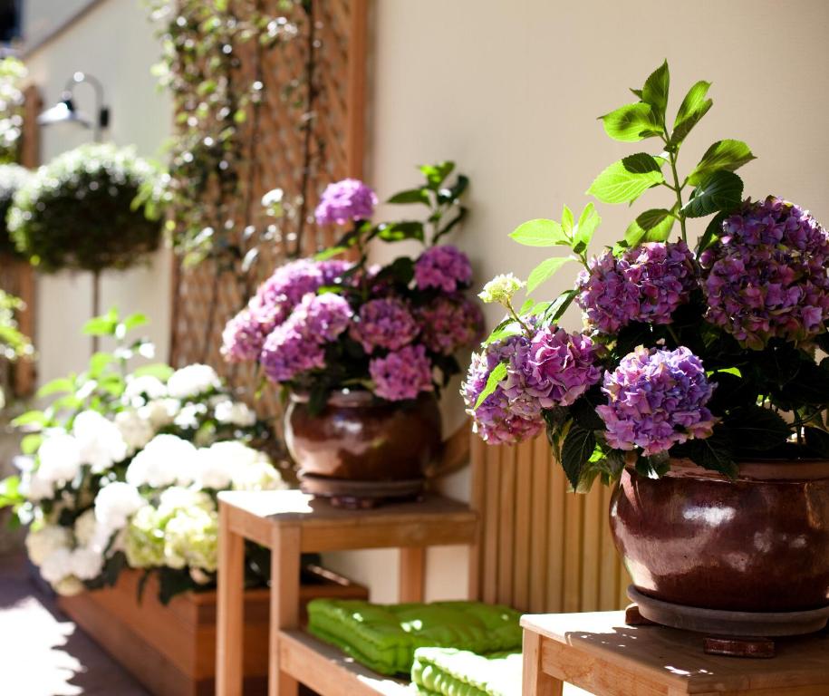 Hanseat-Hotel - Resim 2