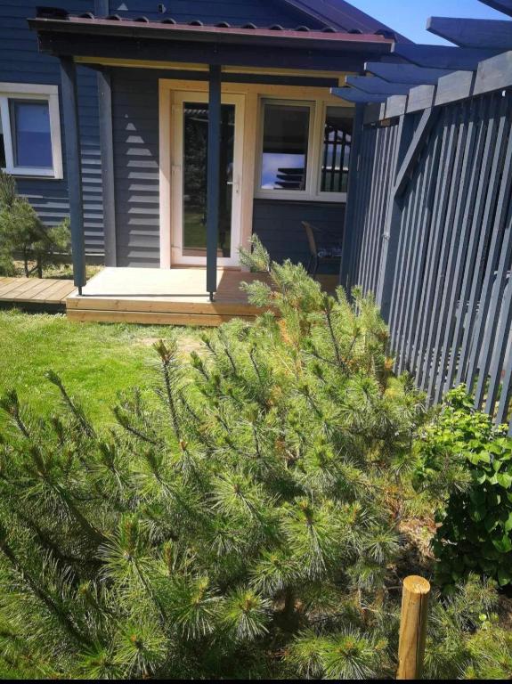 Dobilas ir jura - 