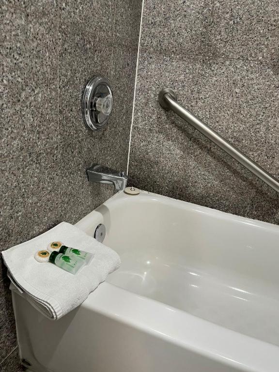 Laguna Inn and Suites - Habitación Doble Económica