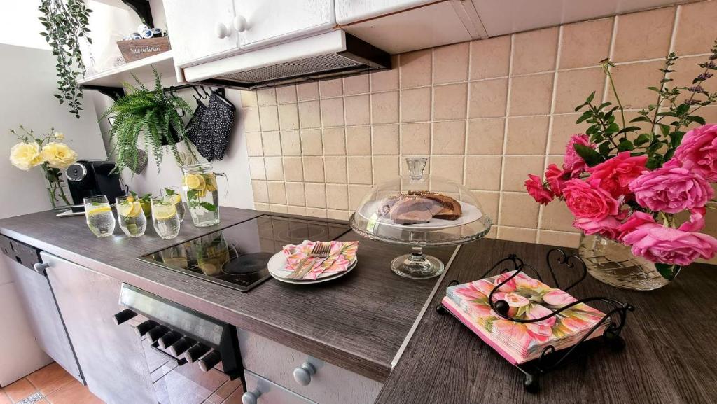 Kuchyň nebo kuchyňský kout v ubytování Villa Izvor Čabranke