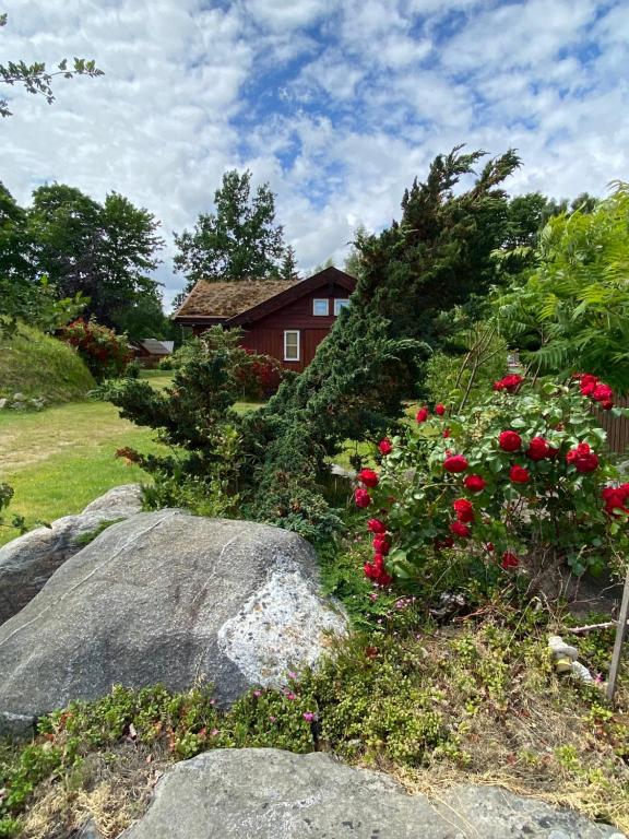 a garden with red flowers and a red house at Golden Seaside Villa in Kärdla