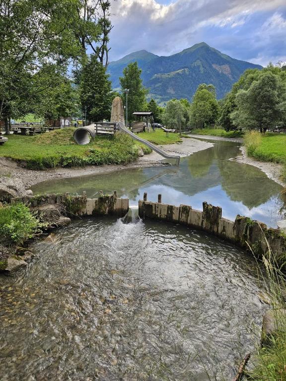Příroda nedaleko apartmánu