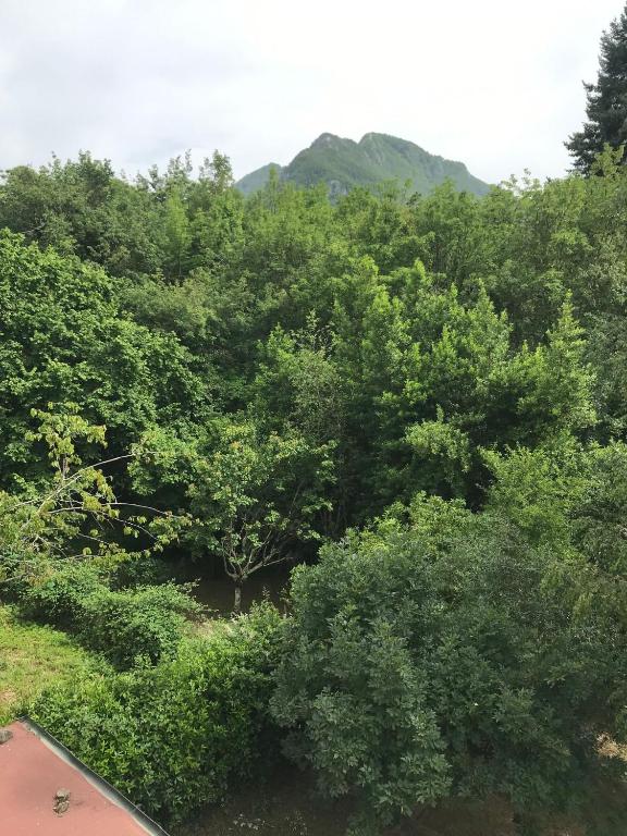 Uma vista da montanha tirada da casa de temporada 