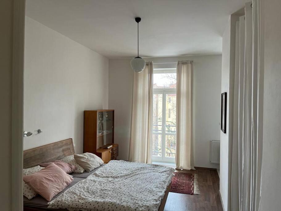 Postel nebo postele na pokoji v ubytování Mama's apartment in Letna