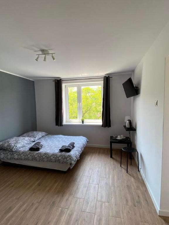 Pokoje Green House - 8