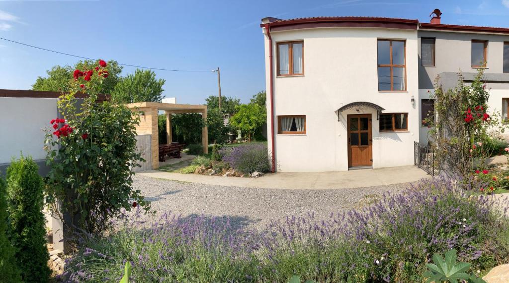 a house with a garden in front of it at Fruška Gora Guesthouse in Irig