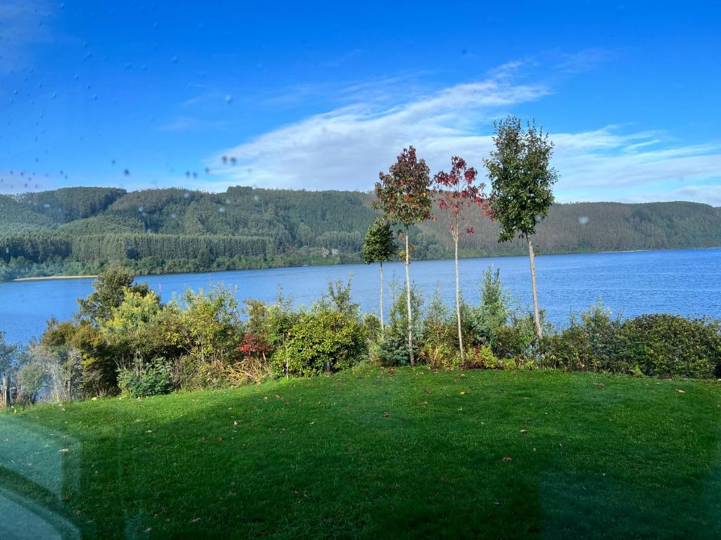 uma vista para um lago com árvores na relva em Hotel Boutique Cutipay em Valdivia