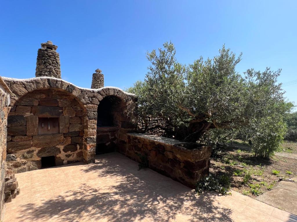 Fotografie z fotogalerie ubytování Dammuso i Pini di Kaddiuggia (CIR19081014C224053) & Dammuso di Mena (CIR 19081014C224052 v destinaci Pantelleria
