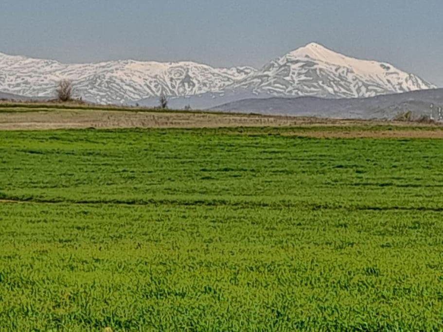 Daire yakınında doğal manzara