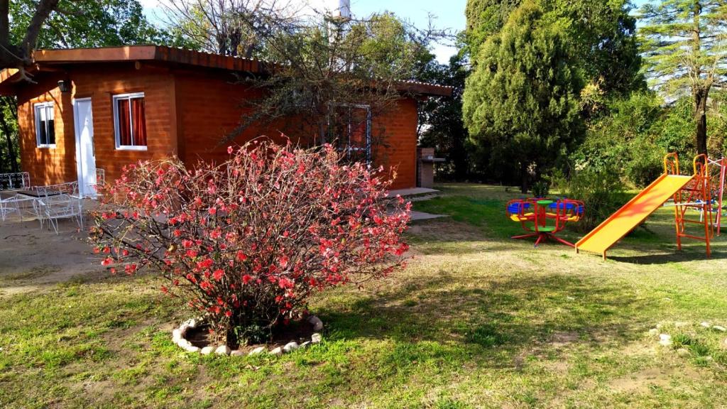 un patio con parque infantil y tobogán en Cabaña El Chaparral Villa Dolores, Traslasierra 1 en 