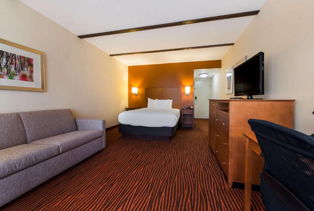 Best Western Executive Hotel New Haven-West Haven - Queen Room With Sofa Bed