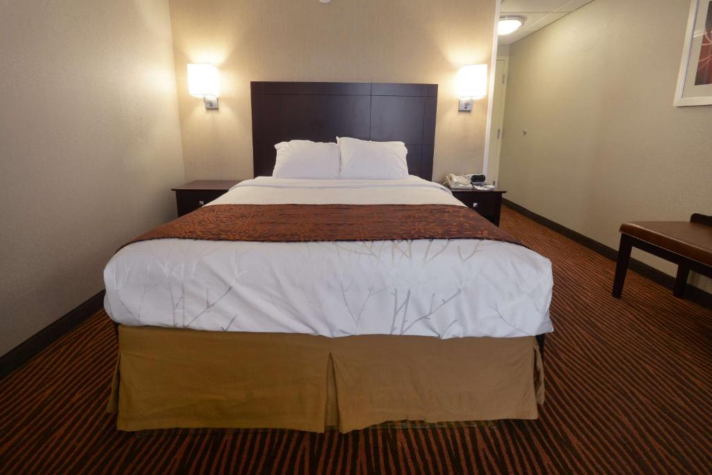 Best Western Executive Hotel New Haven-West Haven - Queen Room - Non-Smoking