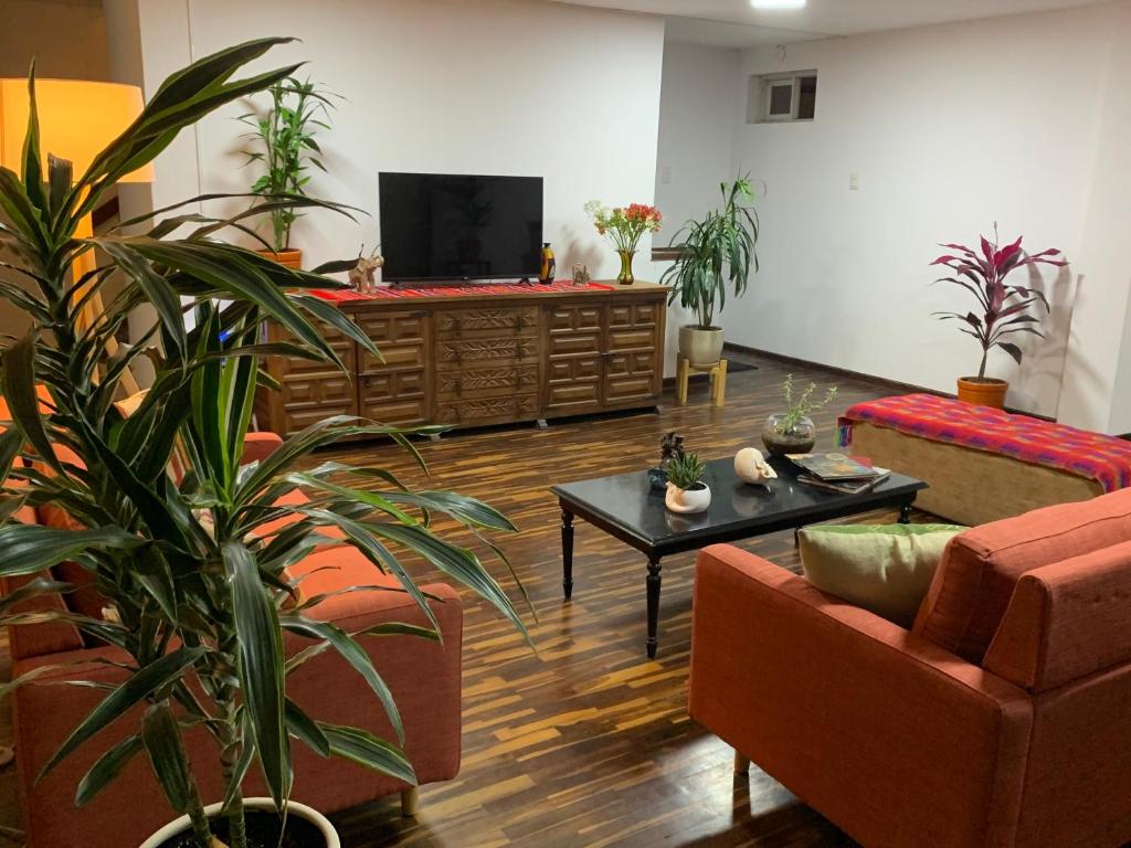 d'un salon avec des plantes en pot et une télévision à écran plat. dans l'établissement Harmony Inn Miraflores, à Lima