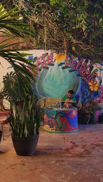 Zahrada ubytování Hostel Vallarta