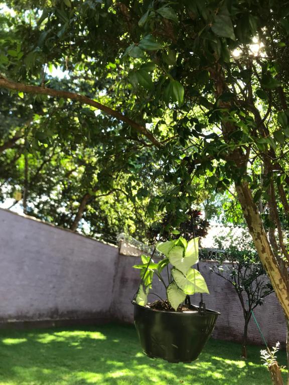 Zahrada ubytování Casa Cantinho Do Sossego Piri