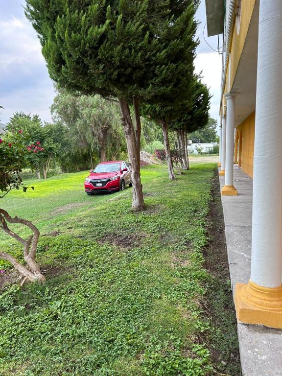 Zahrada ubytování Hotel Antonio