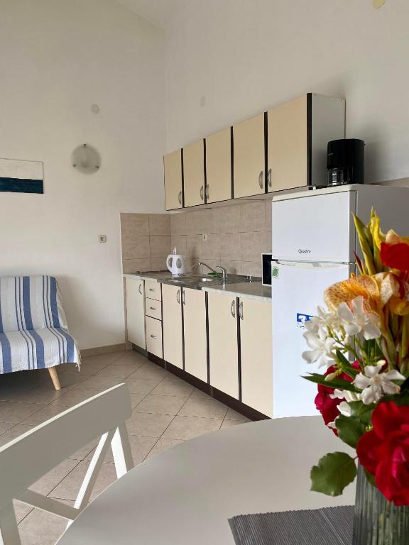 Kuchyňa alebo kuchynka v ubytovaní Apartments with a parking space Bibinje, Zadar - 17855