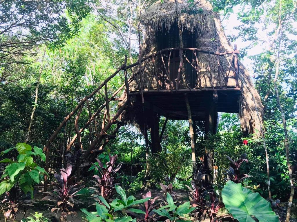 Zahrada ubytování Sanctuaria Treehouses Busuanga