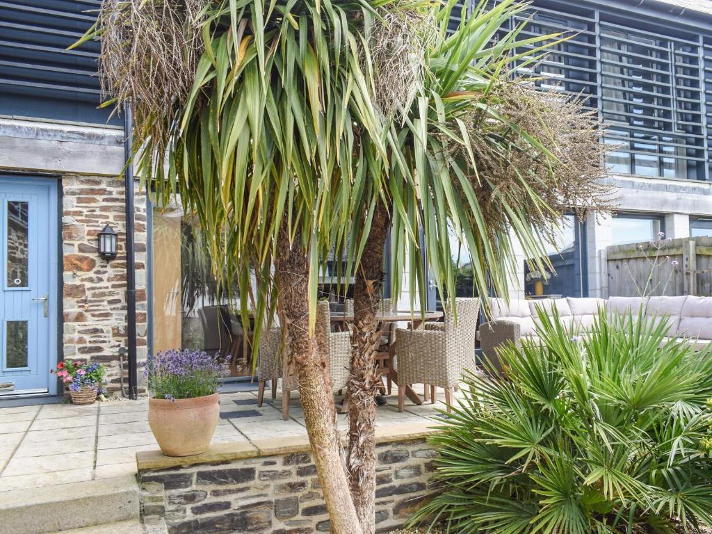 a group of palm trees in a courtyard at Bluebell Barn in Grampound