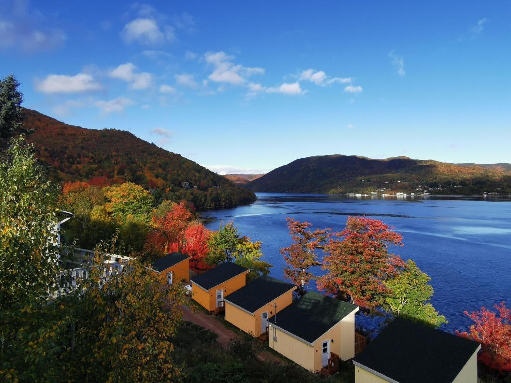 Vista ariale di un fiume con alberi e case di Knotty Pine Ocean Front Cabin - Adults Only a Ingonish Beach