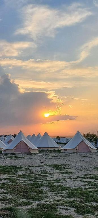 Příroda nedaleko luxury tent