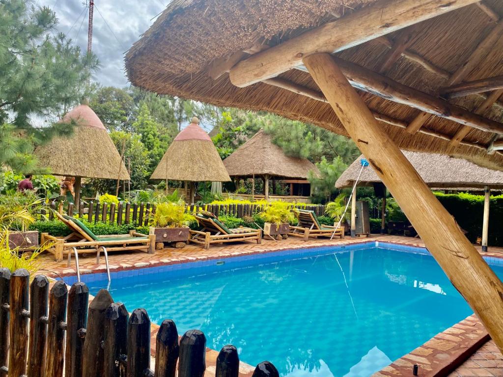a pool at a resort with chairs and umbrellas at Elite Backpackers Services in Masaka