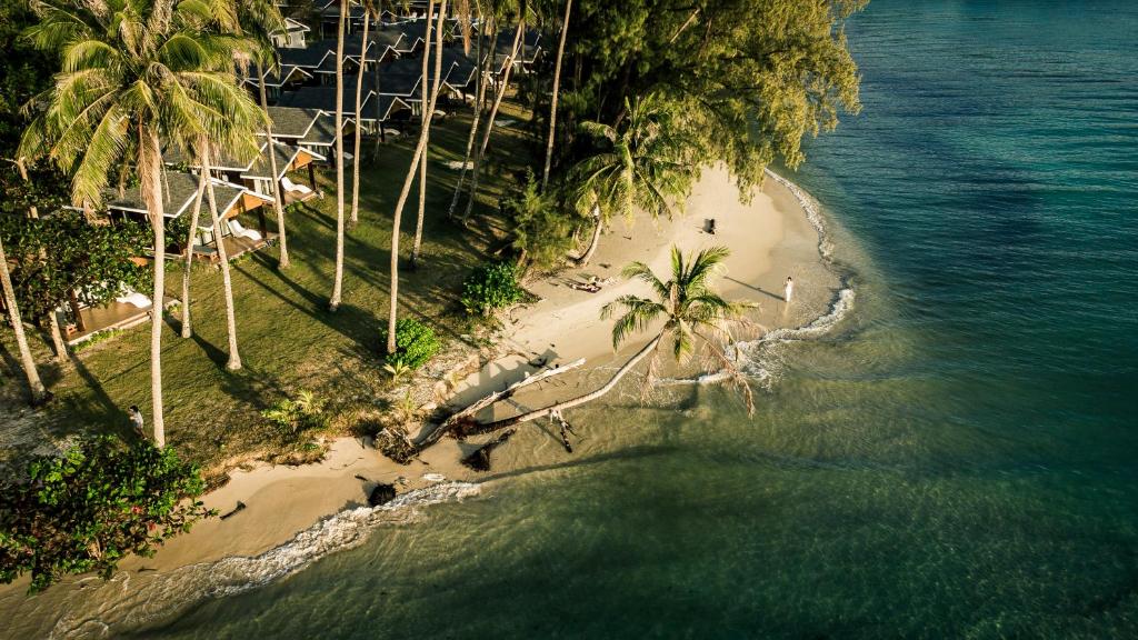 z anteny widok na plażę z palmami i ocean w obiekcie Seacret KohKood เกาะกูด w mieście Ban Lak Uan