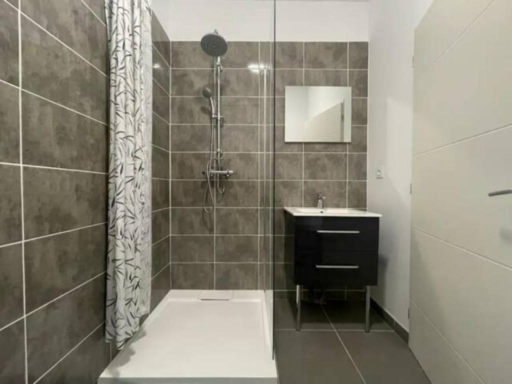 a bathroom with a shower and a sink at Le Jacquemart in Romans-sur-Isère