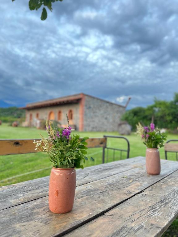 Zahrada ubytování Chubini Winery & Cabins