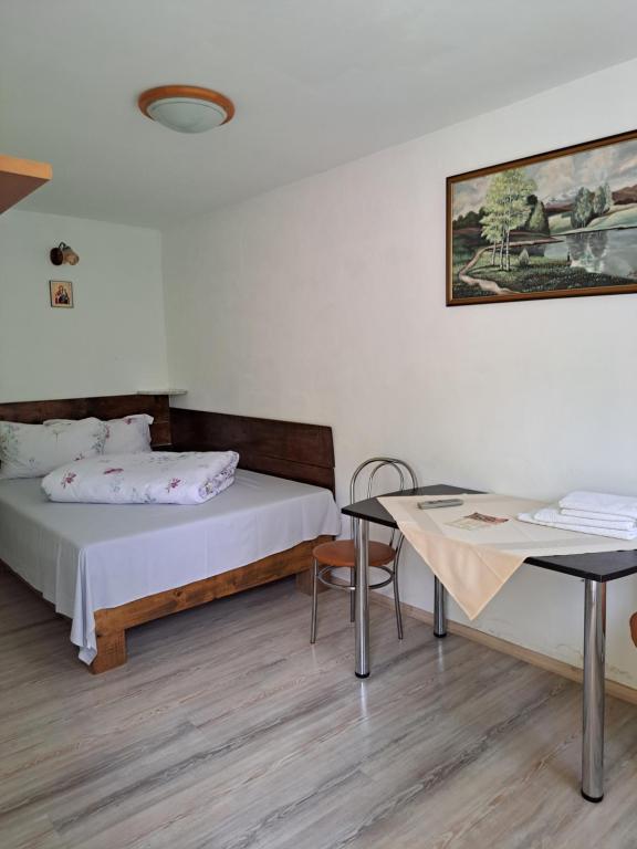 Pensiunea Mioritica - Double Room With Terrace