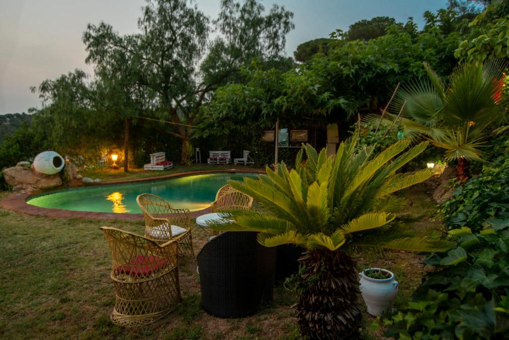 une piscine avec des chaises et une usine d'ananas dans une cour dans l'établissement Mare MaravellaThis is the Live, à Tordera