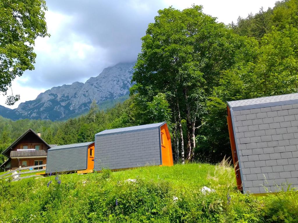 Příroda nedaleko luxury tent