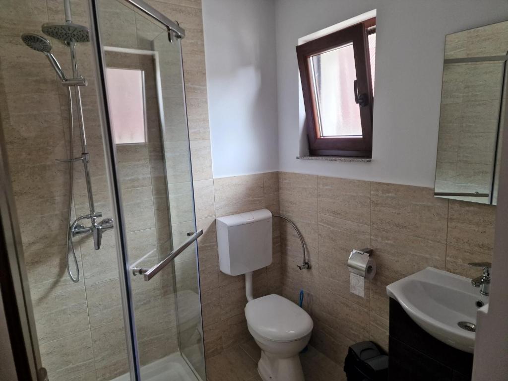 a bathroom with a shower and a toilet and a sink at La Mona in Bîrsana