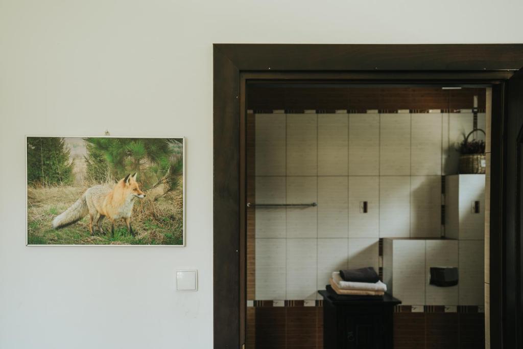 Fotografie z fotogalerie ubytování Grzechowisko v destinaci Wetlina