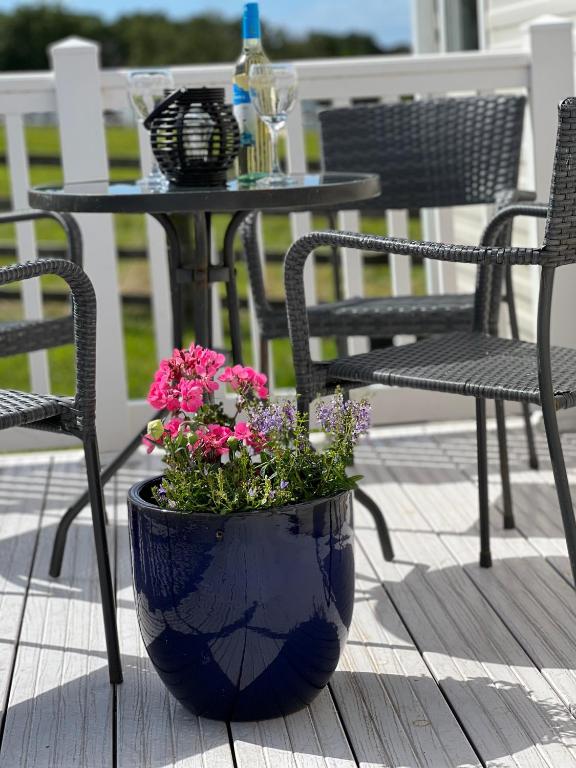a blue planter with flowers in it on a patio at Countryside 3-bedroom Static Caravan in Llanerchymedd