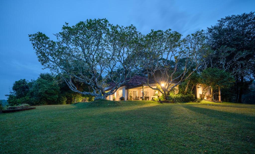 a house with a large tree in the yard at Lunuganga Estate in Bentota