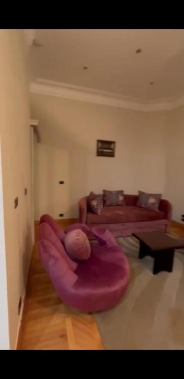 un soggiorno con divano e tappeto viola di شقه بالمهندسيين a Il Cairo