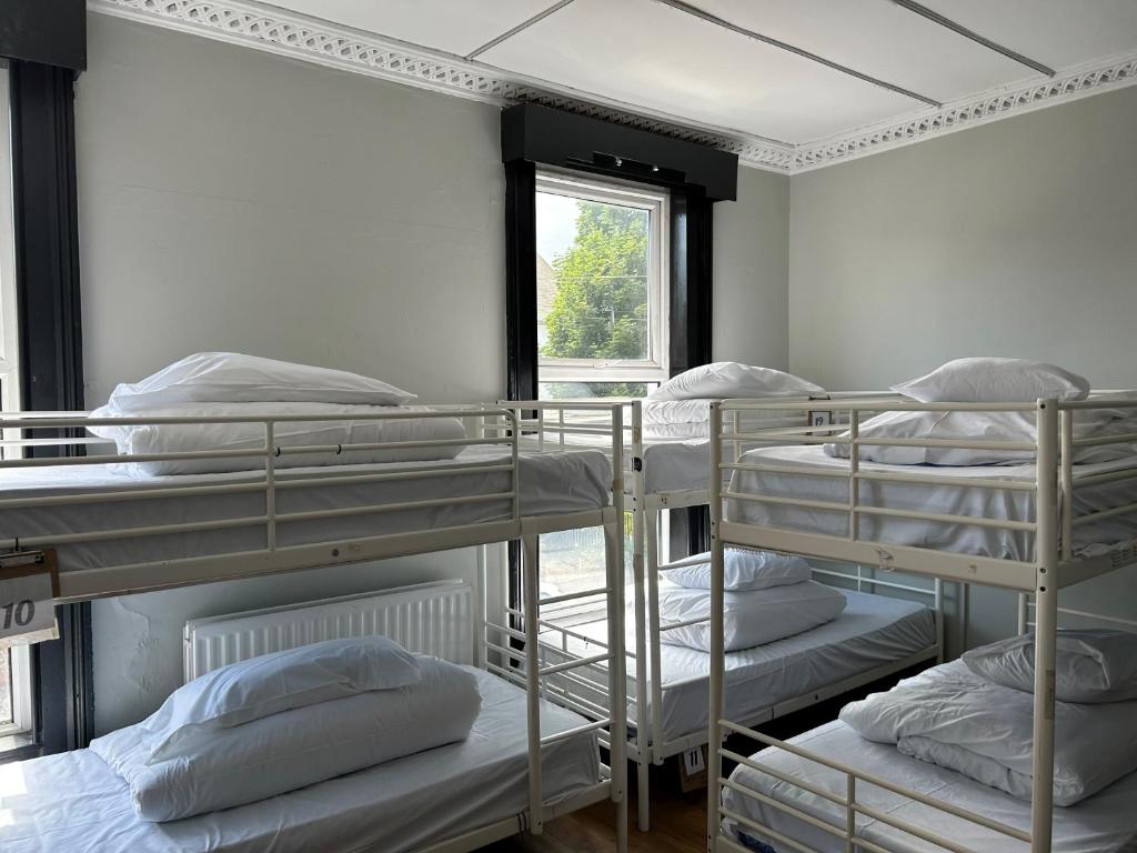 Lagan Backpackers tesisinde bir ranza yatağı veya ranza yatakları