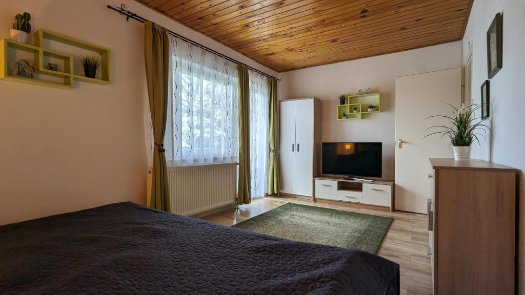 Televízia a/alebo spoločenská miestnosť v ubytovaní Virágos Apartman Balatonszemes